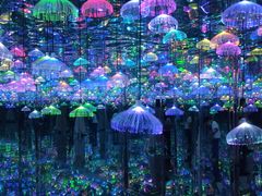 -天津梵高星空艺术馆(天河城旗舰店)