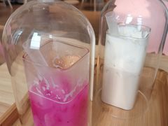 -猫腻·猫咖·撸猫馆(星光大道店)