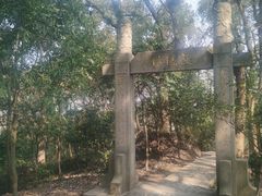 -上海佘山国家森林公园天马山园