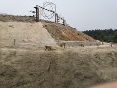 -石家庄市动物园