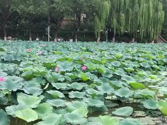 -中国农业博物馆
