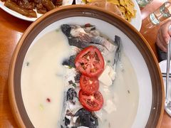 -全乐鱼馆·淳牌有机鱼直营店
