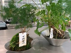 -爱樂咖啡(青年体育公园店)