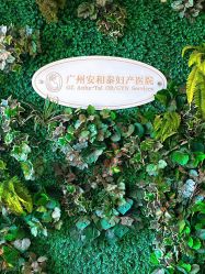 -广州安和泰医学月子会所