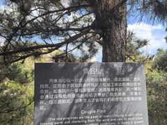 -龙潭大峡谷