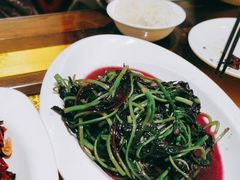 -蜀竹情酒楼(北营房店)