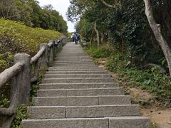 -梧桐山风景名胜区