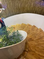 -比华利美容医院