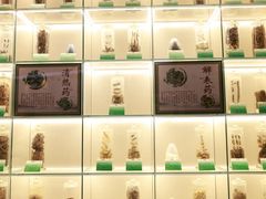 -广东中医药博物馆