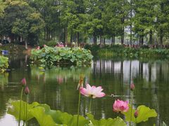 -金银湖国家城市湿地公园
