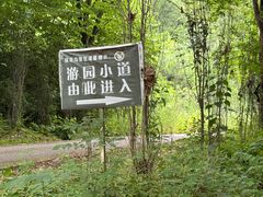 -小陇山国家森林公园桃花沟景区