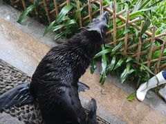 -灵玲国际马戏城