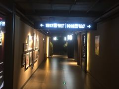 -新影联·华谊兄弟影院(望京店)