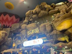 -卡通尼·Safari非洲探索乐园·生日会(金桥国际商业广场店)