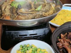 -李东农庄(中南百草园地标店)