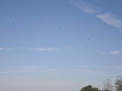 -巢湖姥山岛