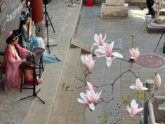 -潭柘寺景区