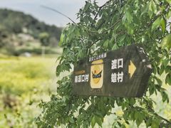 -新安江山水画廊风景区
