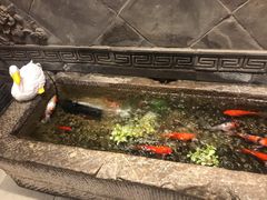 -京味斋·北京烤鸭(北京南站洋桥店)