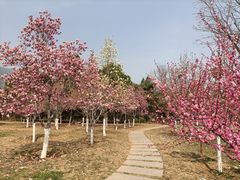 -北京西山国家森林公园