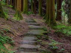 -钟鼎寺