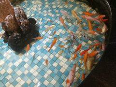 -上和臻品中国菜(花园街店)