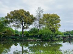 -八卦田遗址公园