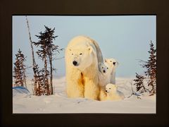 -罗红摄影艺术馆