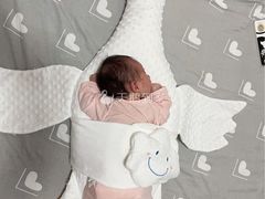 -天鹅到家·保姆月嫂育儿嫂(天河店)