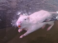 -正佳雨林生态植物园