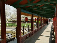-赵州桥景区