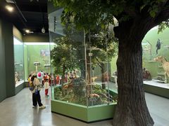 -国家自然博物馆