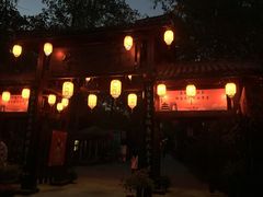 -合肥滨湖国家森林公园