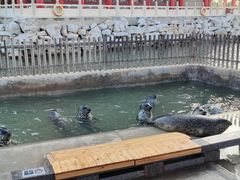 -八仙过海景区