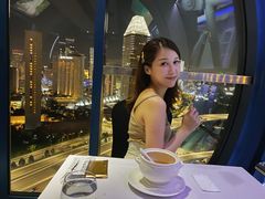 -新加坡摩天观景轮