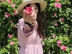 -天鹅湖体育公园