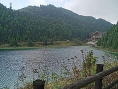 -武陵山森林公园