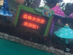 -苏州乐园森林水世界