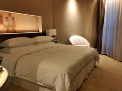 -芽庄喜来登水疗酒店