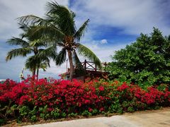 -三亚西岛海洋文化旅游区