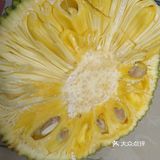 菠萝菠萝蜜