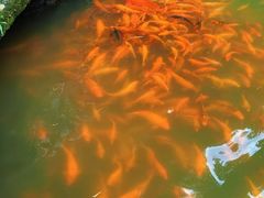 -楠溪江风景名胜区