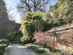 -苏州上方山国家森林公园