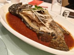 清蒸鲈鱼-双井轩(双井店)
