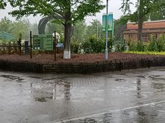 -大兴滨河森林公园