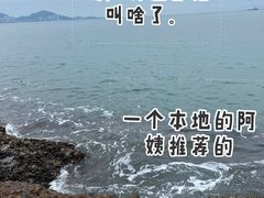 -巽寮湾