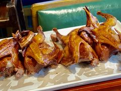 -大鸽饭(岗顶店)