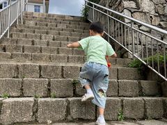 -王顺山国家森林公园