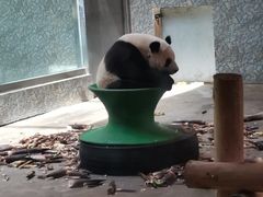 -西安秦岭野生动物园