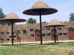 -济南野生动物世界